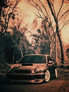 Субару Импреза на лесной дороге обои