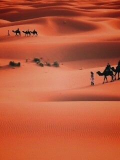 Караваны пустыни обои