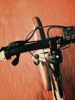 Катание на велосипеде обои