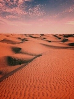 Пустыня до самого горизонта обои