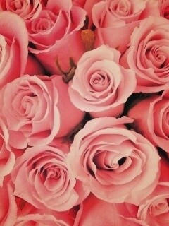 Букет роз обои