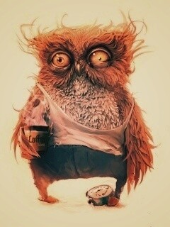 Не спящая сова обои