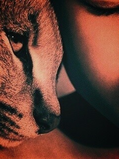 Человек и природа обои