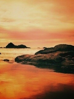 Золотое побережье обои