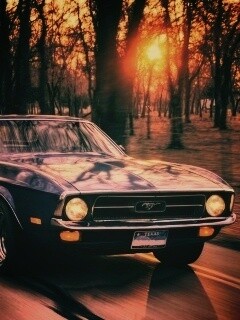 Мустанг обои