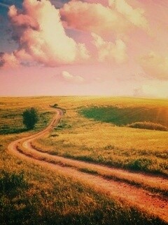 Дорога через луг обои