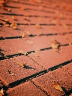 Тротуар обои