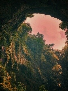 Заросшее ущелье обои