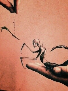 Кормёжка смерти обои