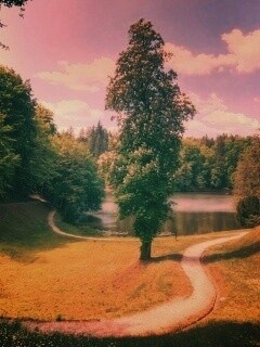 Прекрасная природа обои