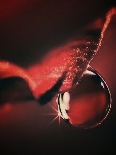 Макро капля на лепестке обои