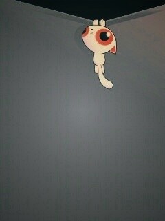 Кот, зацепившийся за край обои