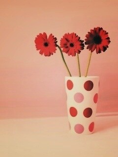 Вазочка с тремя красными герберами обои