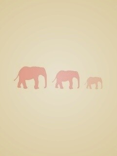 Вереница слонов обои