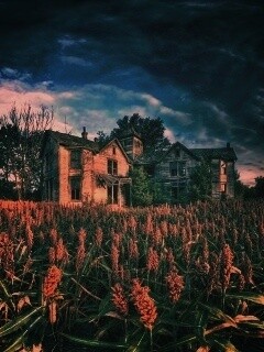 Заброшенный дом  обои