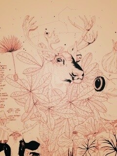 Животные на рабочий стол Apple обои