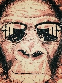 Макака в очках обои