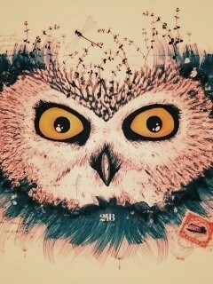 Обои сова для mac book обои