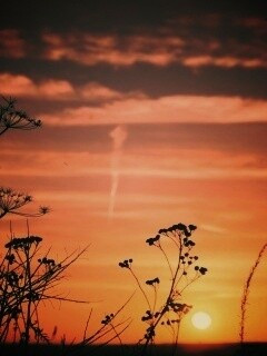 Степной закат обои