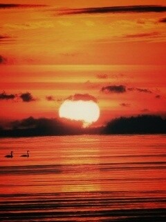 Великолепный рассвет обои