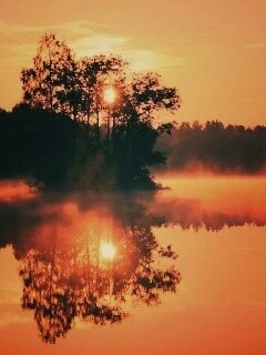 Туманное утро обои