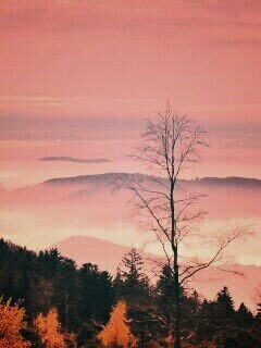 Холмы в тумане обои