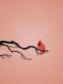 Красная птица на ветке обои