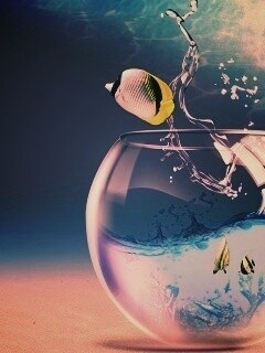 Аквариум с рыбками обои