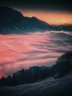 Туман в долине обои