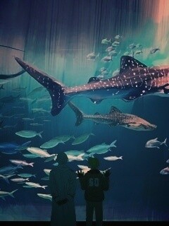 Двое в океанариуме обои