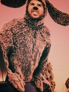 Wilfred обои