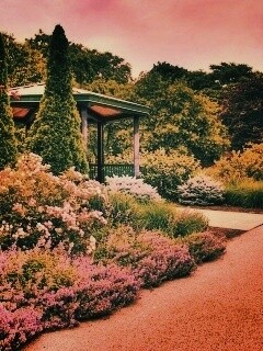 Ландшафтный дизайн обои