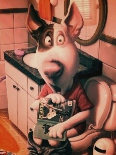 Мастурбирующий пес спалился обои