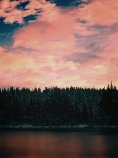 Лес на озере обои