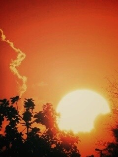 Планер обои