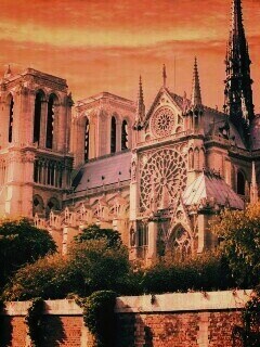 Собор парижской Богоматери обои