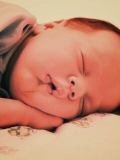 Спящая прелесть обои