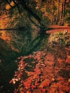 Пейзаж обои