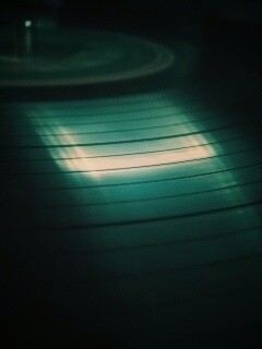 Пластинка обои