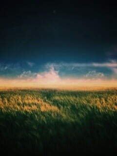 Луг на другой планете обои