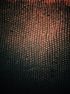 Чешуйчатые обои обои