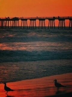 Морская терасса обои