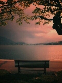 Скамейка на берегу обои