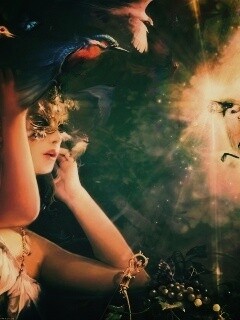 Птицы счастья обои