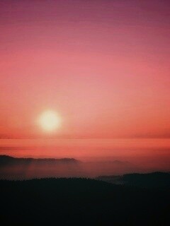 Восход солнца над лесом обои