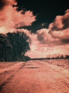 Дорога через поле обои