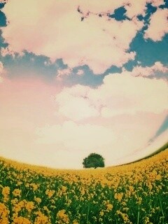 Искаженный мир обои