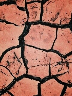 Сухая растрескавшаяся глина обои