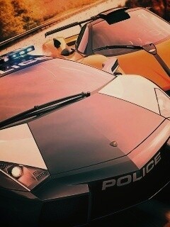 Полицейская погоня из Need For Speed обои