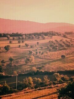 Ферма в долине обои